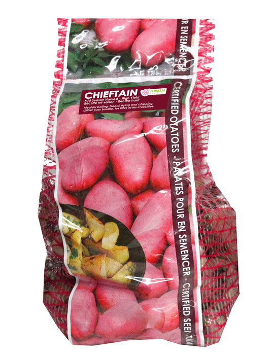 Potato - Chieftain Red, 2kg Mesh Bag