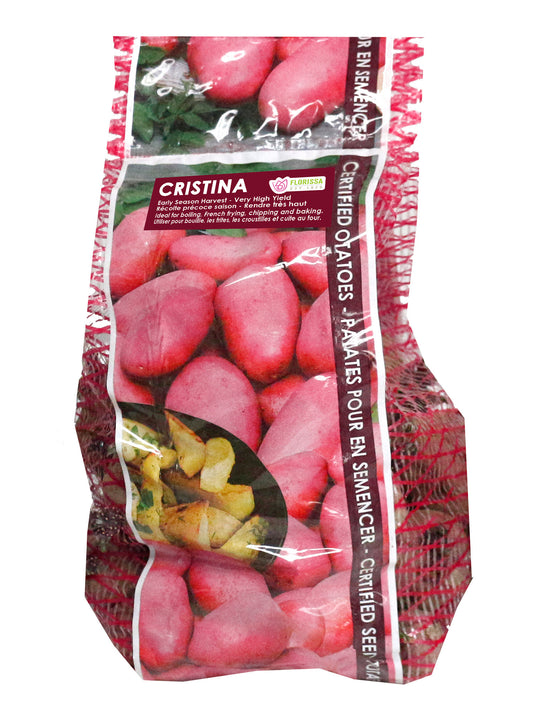 Potato - Cristina, 2kg Mesh Bag