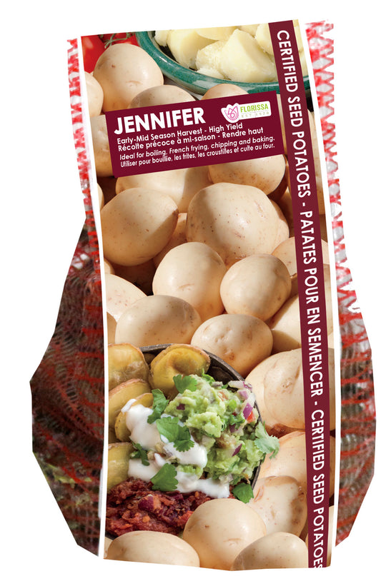 Potato - Jennifer, 2kg Mesh Bag