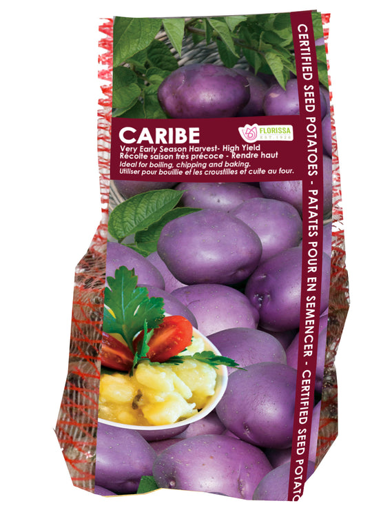 Potato - Caribe Purple, 2kg Mesh Bag
