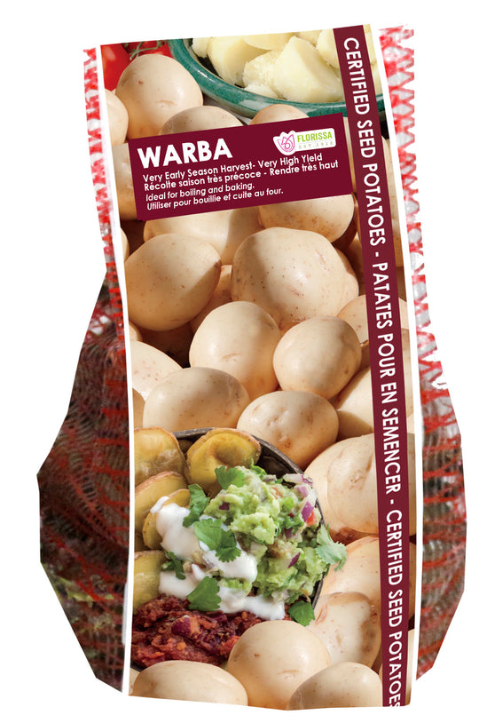 Potato - Warba, 2kg Mesh Bag