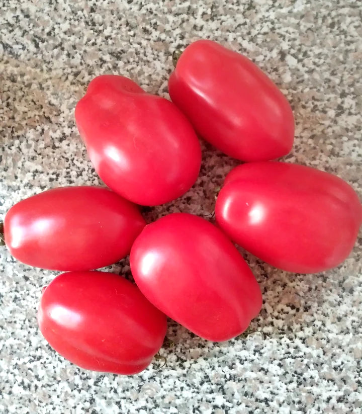 Tomato Myona Paste - Eagleridge Seeds