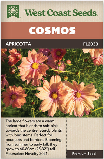 Cosmos Apricotta - West Coast Seeds