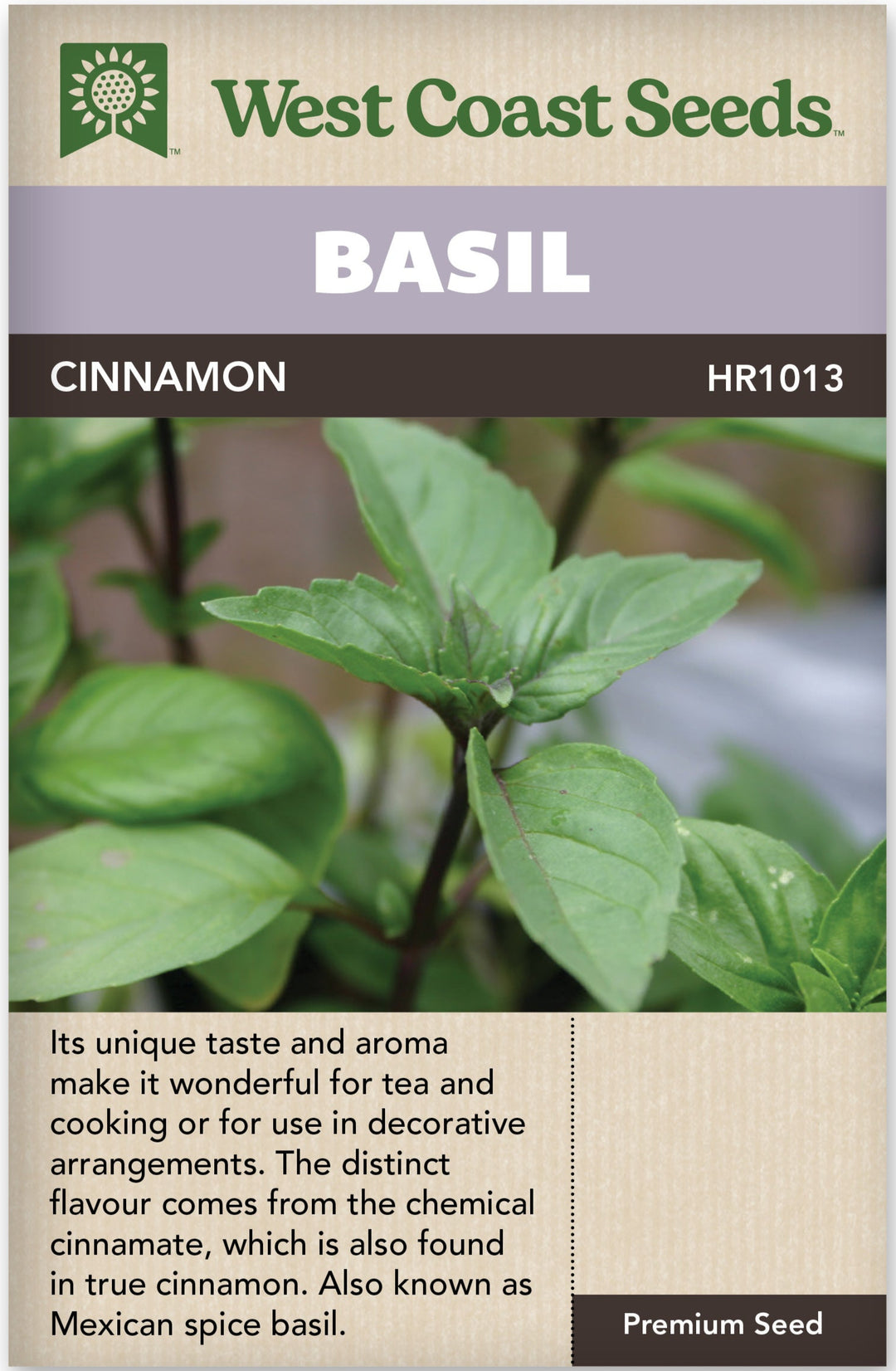 Basil Cinnamon - West Coast Seeds