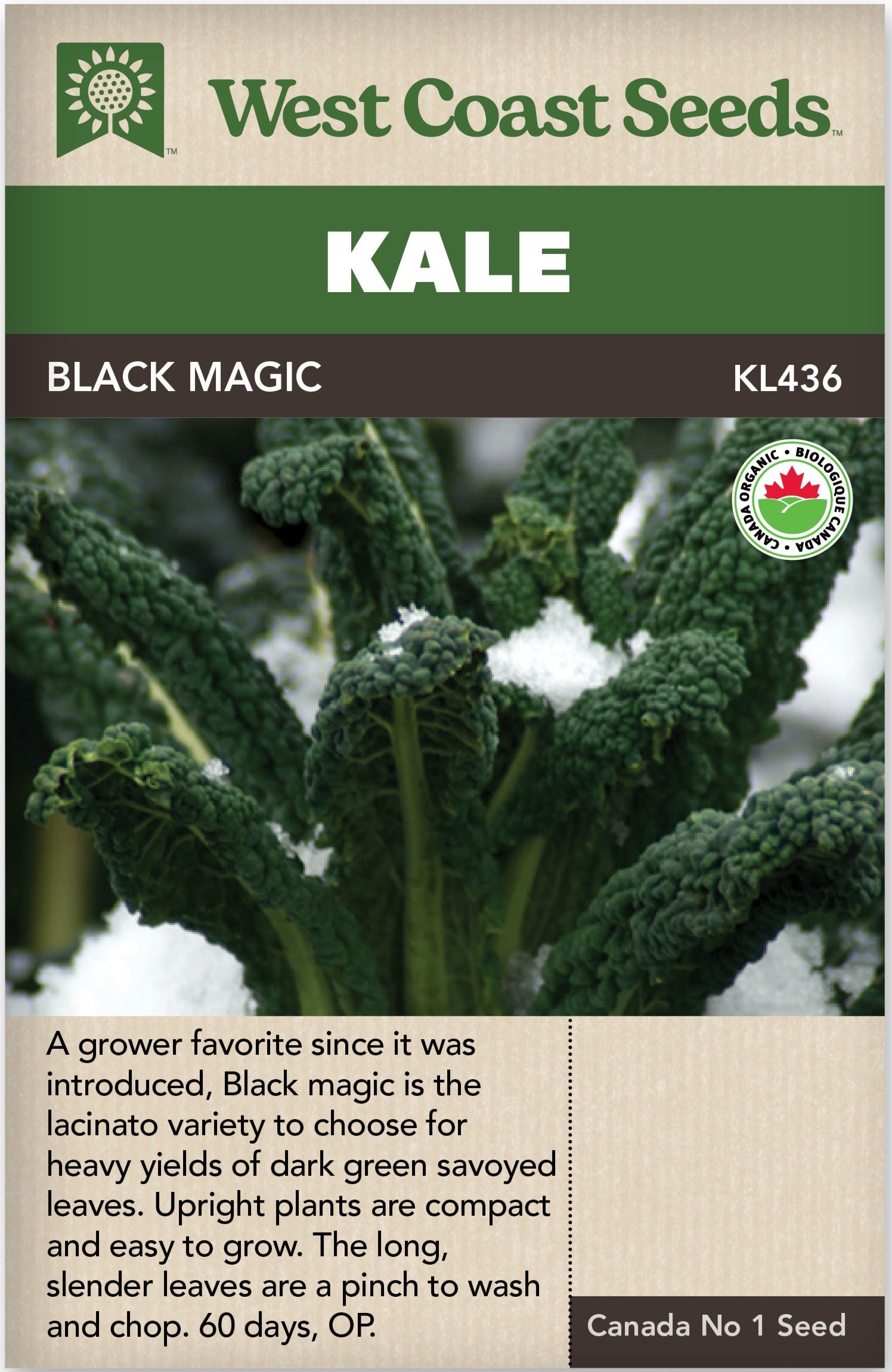 Organic Kale Black Magic - West Coast Seeds