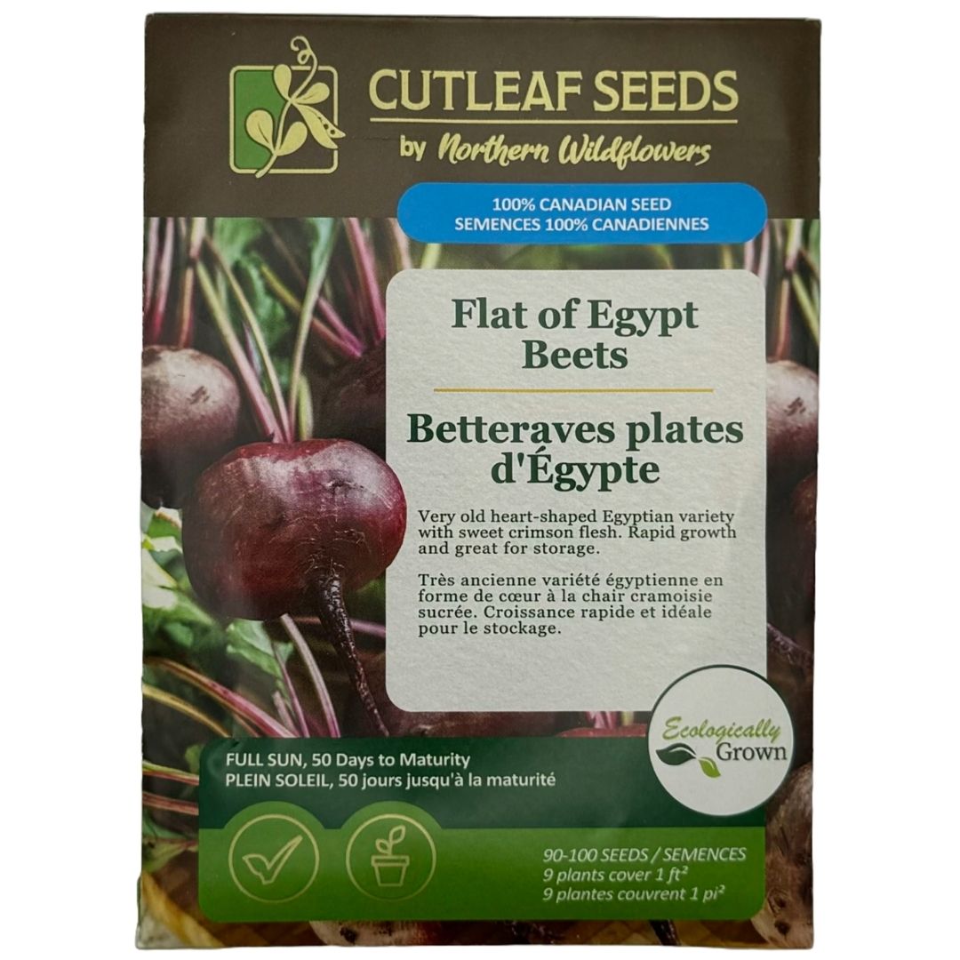 Beets Flat of Egypt - Northern Wildflowers