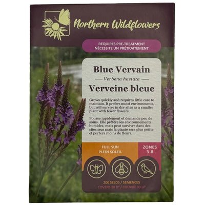 Blue Vervain - Northern Wildflowers