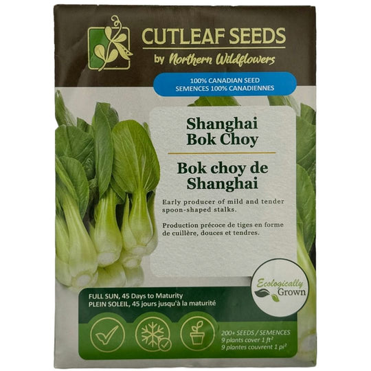 Bok Choy Shanghai - Northern Wildflowers