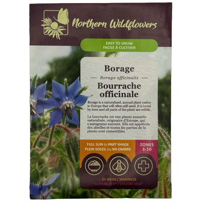 Borage - Northern Wildflowers
