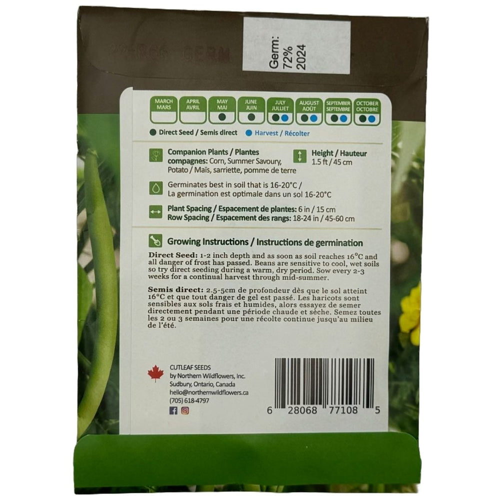 Corn Golden Bantam - Northern Wildflowers