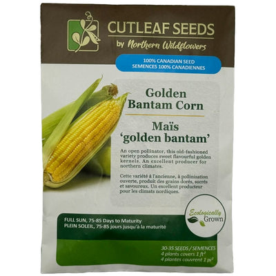 Corn Golden Bantam - Northern Wildflowers