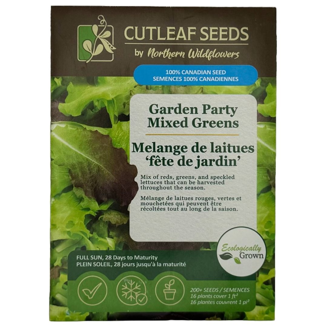 Lettuce Mix Garden Party - Northern Wildflowers