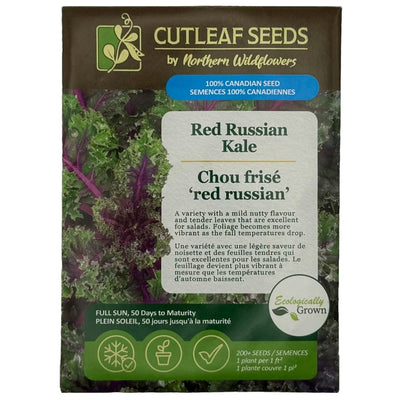Kale Red Russian - Northern Wildflowers