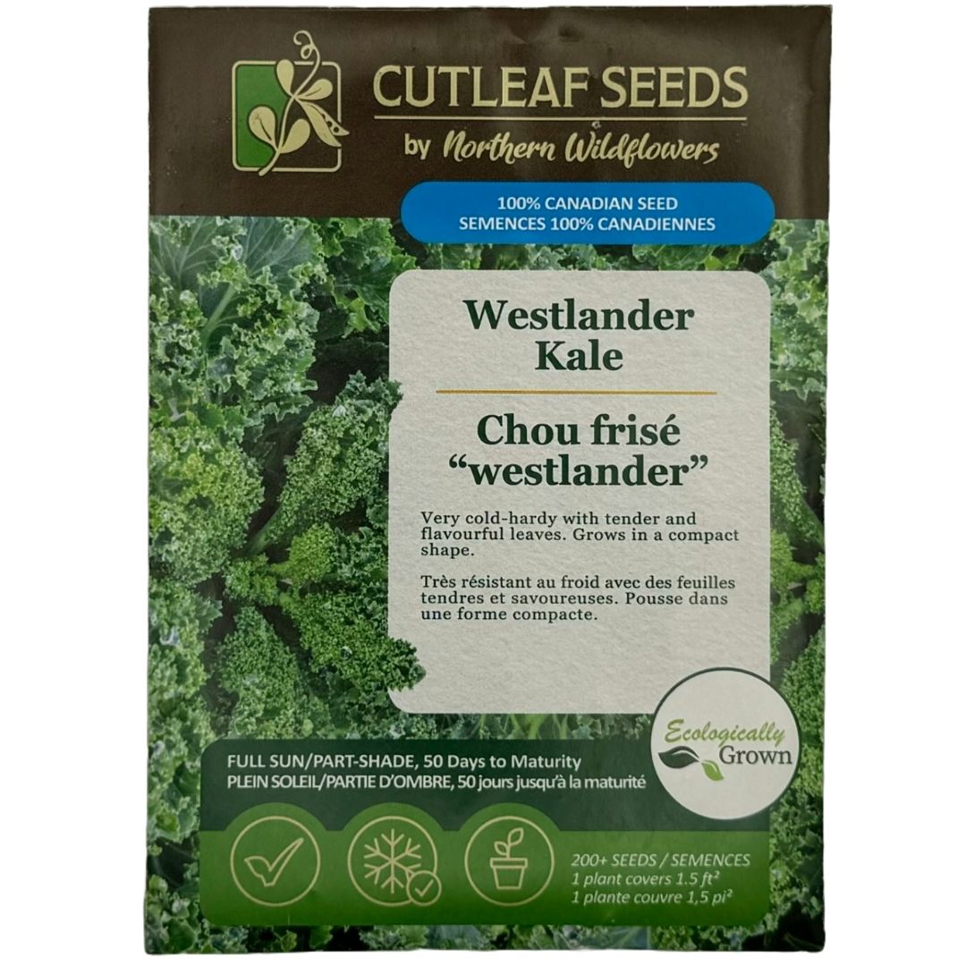 Kale Westlander - Northern Wildflowers