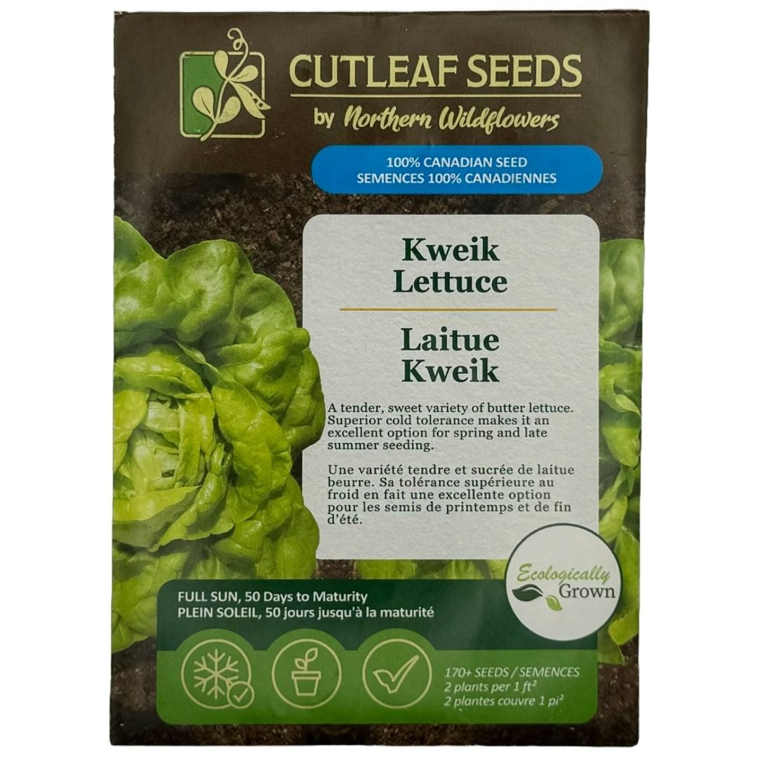 Lettuce Kweik - Northern Wildflowers