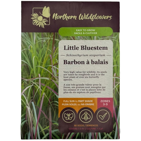 Little Bluestem - Northern Wildflowers