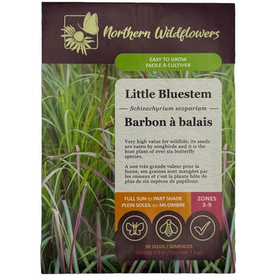 Little Bluestem - Northern Wildflowers