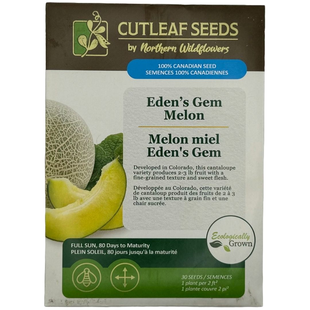 Melon Eden's Gem - Northern Wildflowers