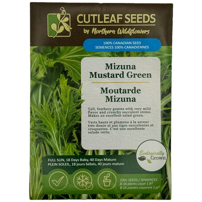 Mustard Green Mizuna - Northern Wildflowers