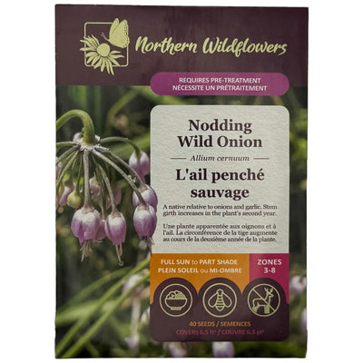 Nodding Wild Onion - Northern Wildflowers