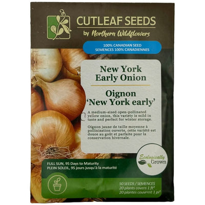 Onion New York Early - Northern Wildflowers