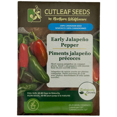 Pepper Hot Early Jalapeño - Northern Wildflowers