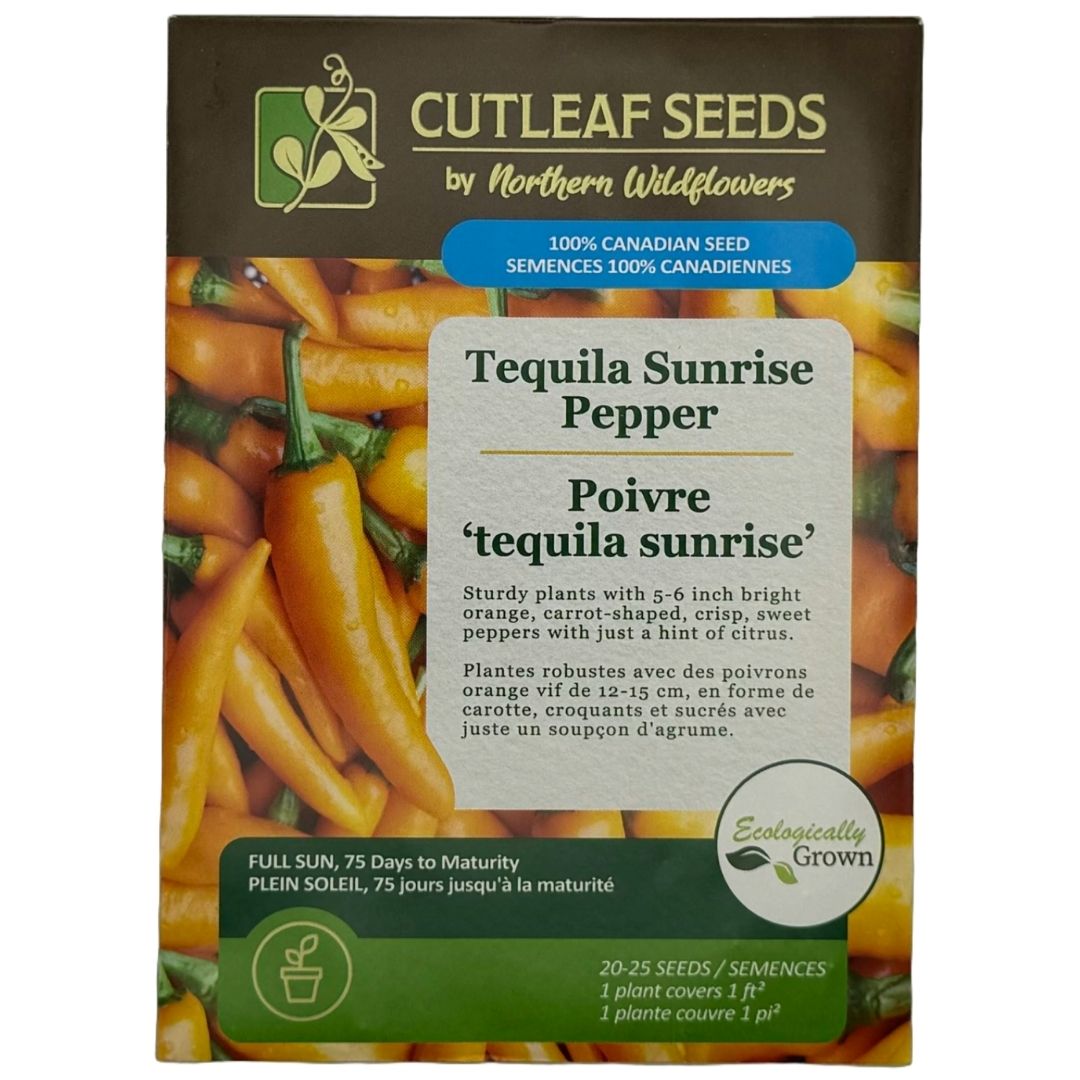 Peppers Tequila Sunrise - Northern Wildflowers