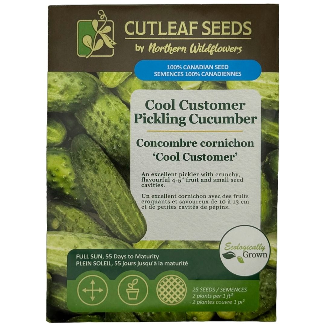 Cucumber Cool Customer Pickling - Northern Wildflowers