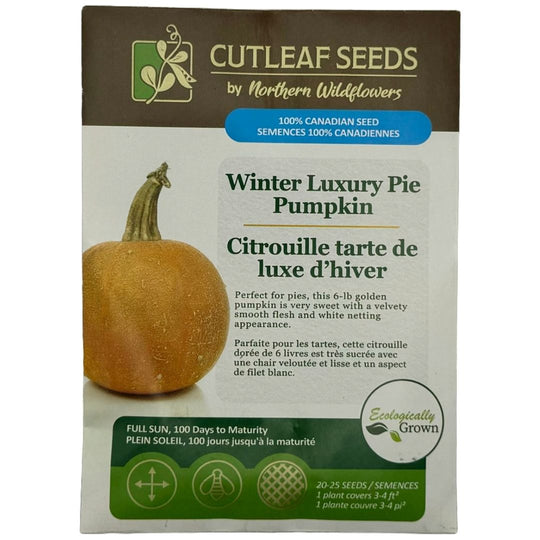 Pumpkin Winter Luxury Pie - Northern Wildflowers