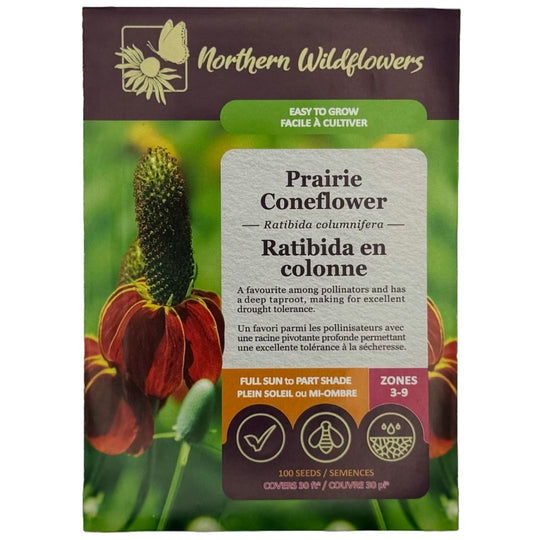 Prairie Coneflower - Northern Wildflowers