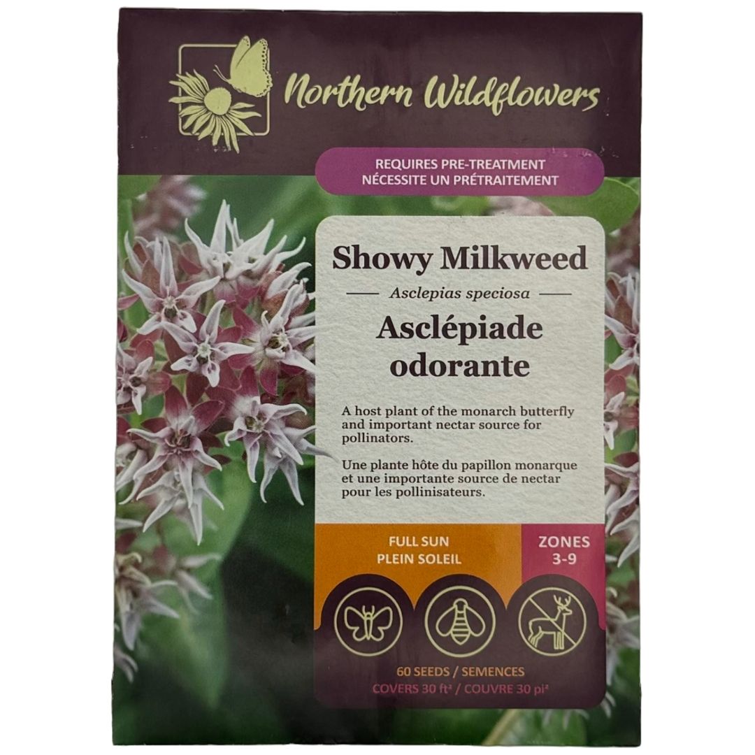 Showy Milkweed - Northern Wildflowers