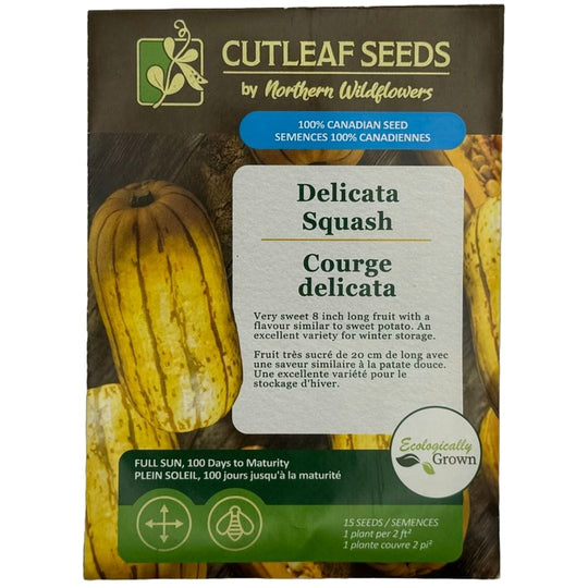 Squash Delicata - Northern Wildflowers