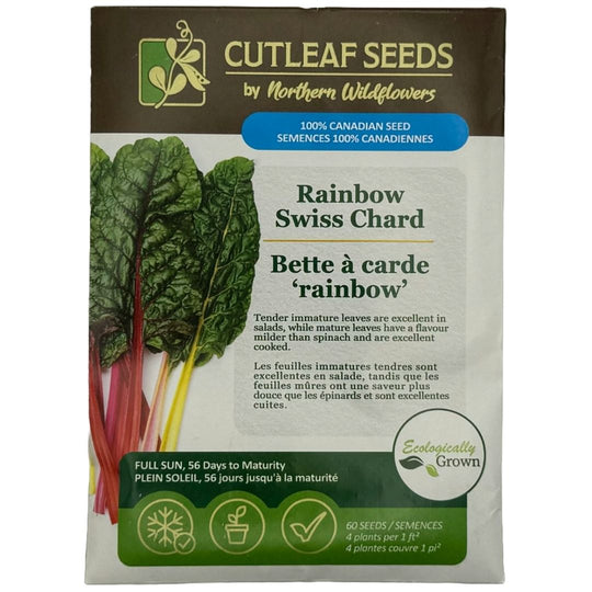 Swiss Chard Rainbow - Northern Wildflowers