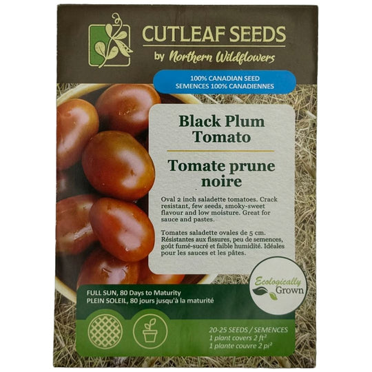 Tomato Black Plum - Northern Wildflowers