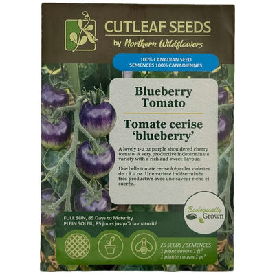 Tomato Blueberry - Northern Wildflowers