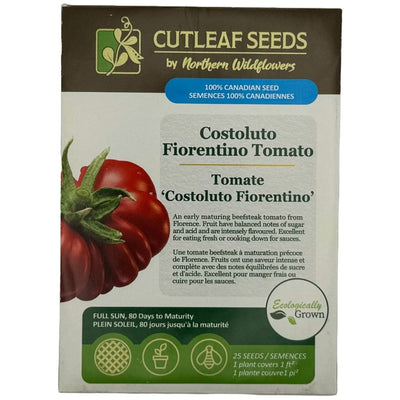 Tomato Costoluto Florentino - Northern Wildflowers