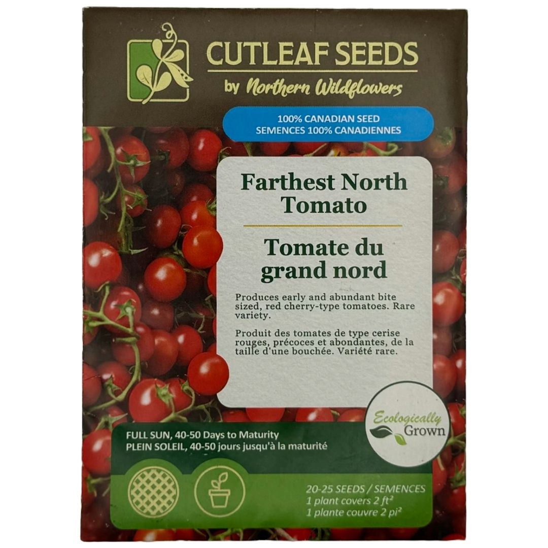 Tomato Farthest North - Northern Wildflowers