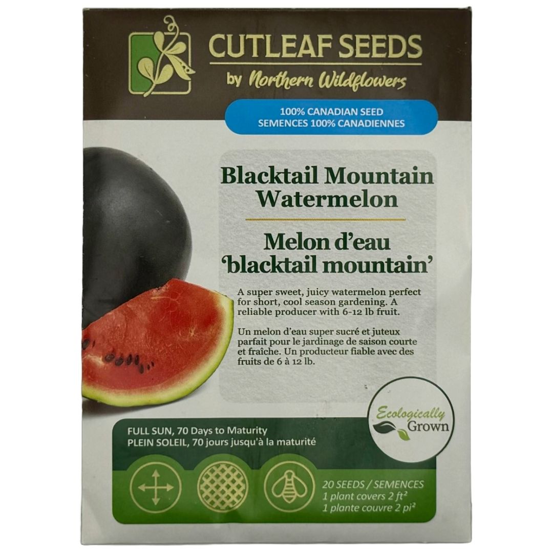 Watermelon Blacktail Mountain - Northern Wildflowers