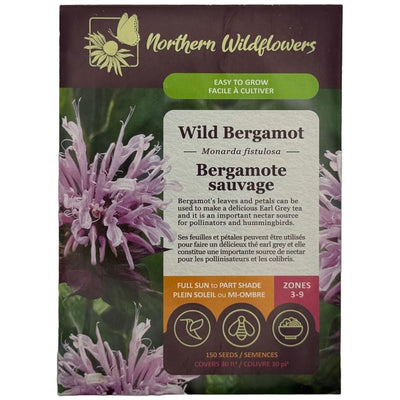 Wild Bergamot - Northern Wildflowers