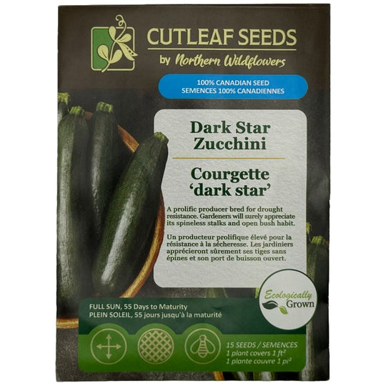 Zucchini Dark Star - Northern Wildflowers