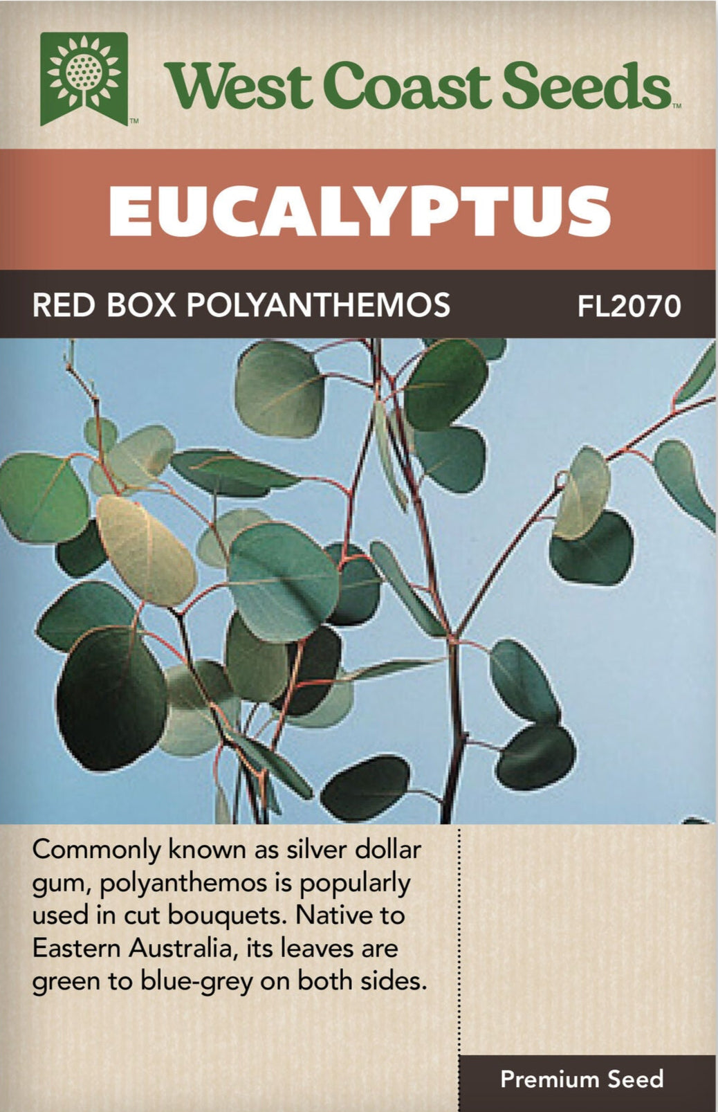 Eucalyptus Red Box Polyanthemos - West Coast Seeds