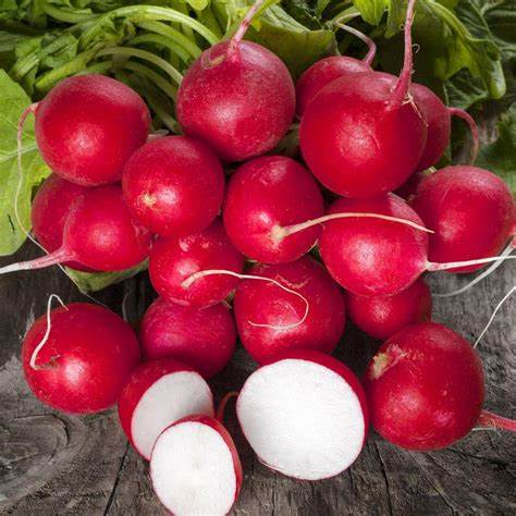 Cherry Belle Radish - Burpee Seeds