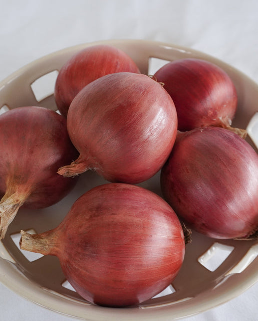 Onion Blush - West Coast Seeds