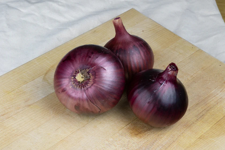 Onion Cabernet - West Coast Seeds