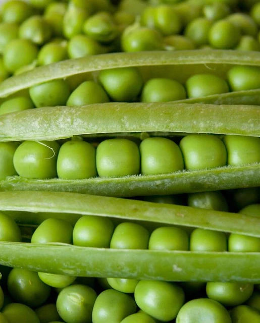 Pea Shelling Alderman - West Coast Seeds