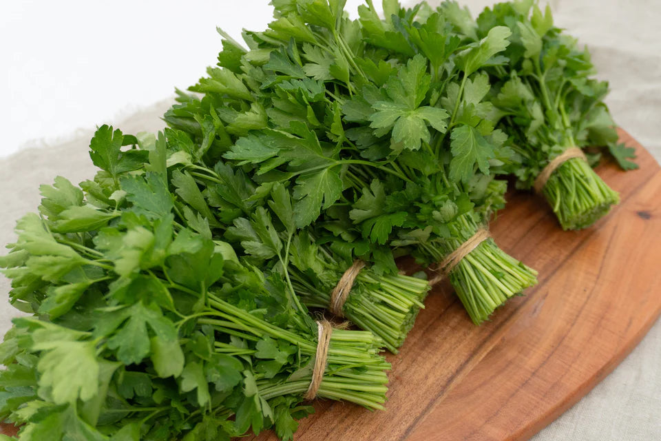 Organic Parsley Laica - West Coast Seeds