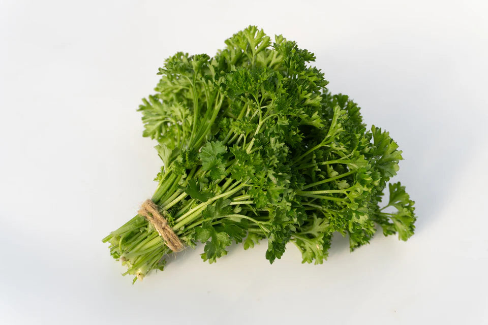 Parsley Starlett - West Coast Seeds