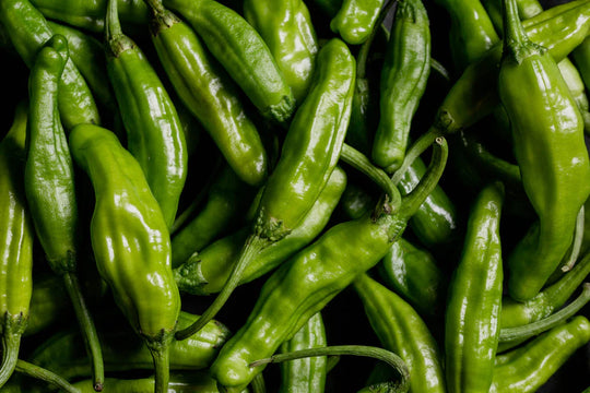 Peppers Shishimai - West Coast seeds