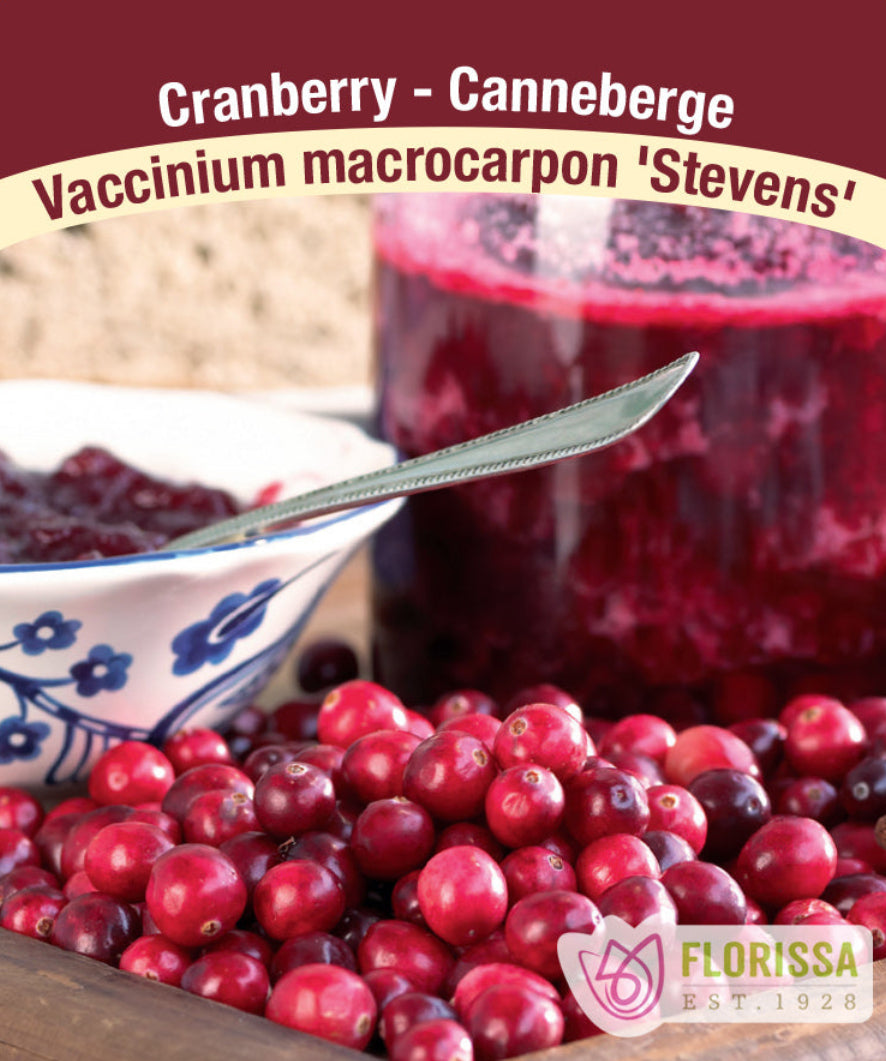 Cranberry - Stevens