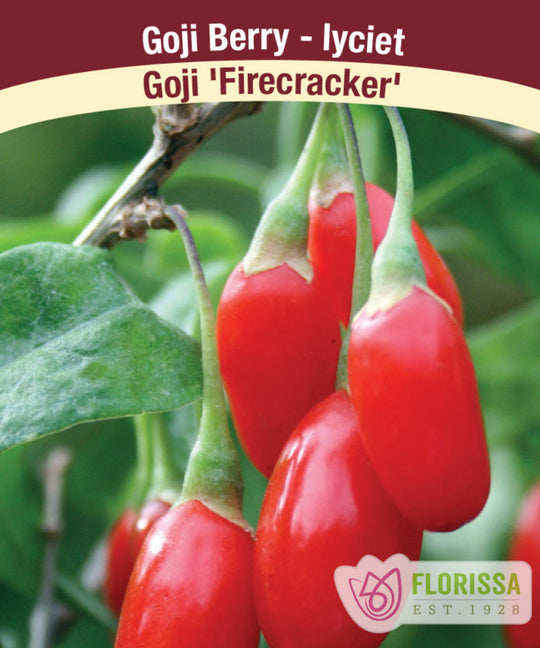Goji Berry - Firecracker